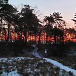 Lejlighed Prora - Apartment Mit Sauna Und Strandkorb Am Strand - Treibgut