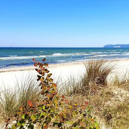 Prora - Mit Sauna Und Strandkorb Am - Treibgut דירה בינץ